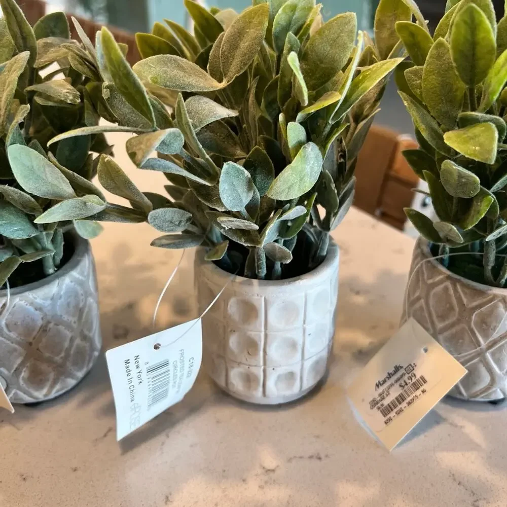 NWT 3 small plants